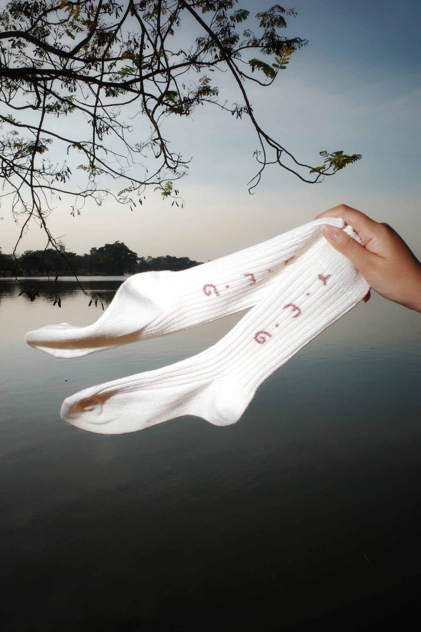 L.M.G Hand-embroidered Socks